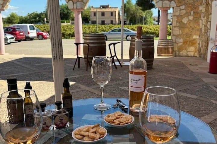 Authentic Family Winery Tour and Tasting in Mallorca