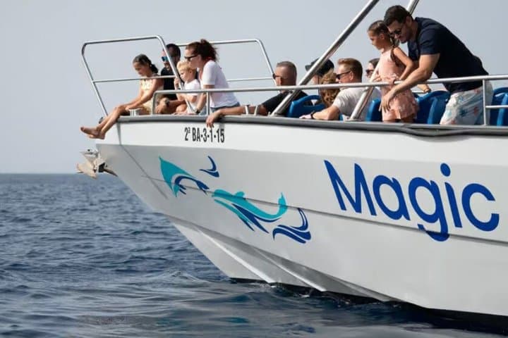 Morro Jable: 2 Hours Magic Dolphin & Whale watching with Drinks & Swim Stop.