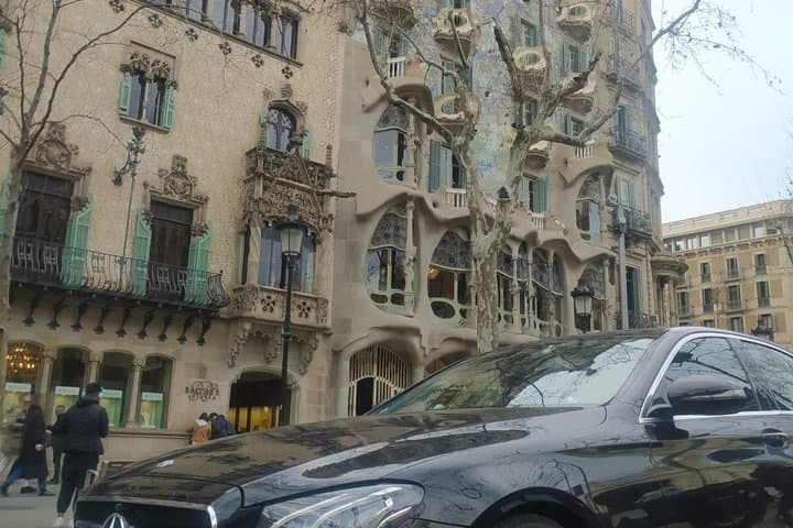 Barcelona Highlights Private Tour with Port or Hotel Transfers