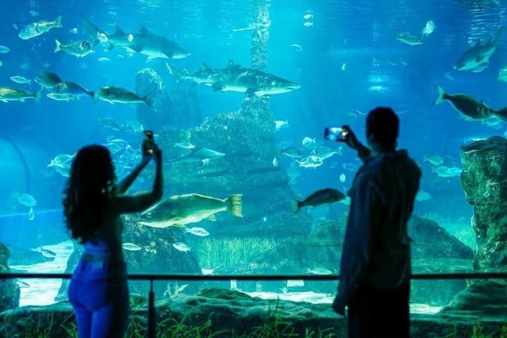 Barcelona Aquarium Skip-the-Line Tickets