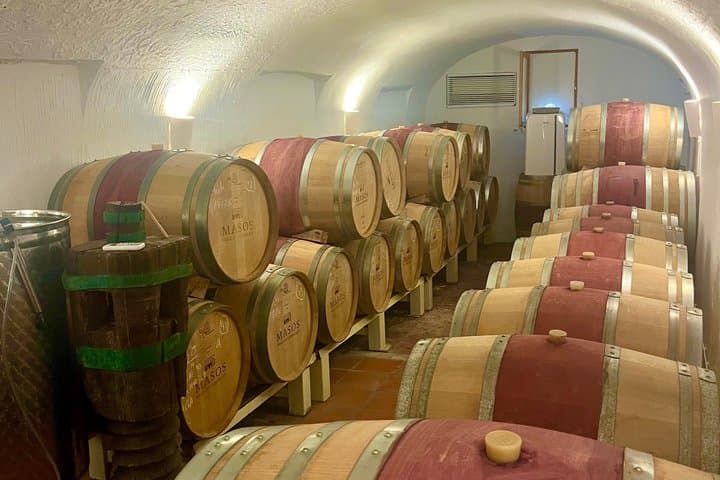 Alicante Winery with 7 Tastings and Guadalest Tour – Small Group