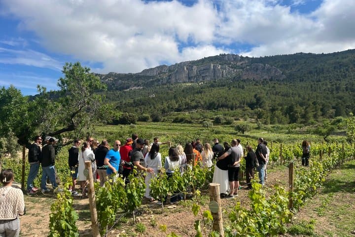Alicante Winery with 7 Tastings and Guadalest Tour – Small Group