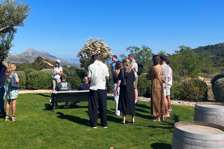 Alicante Winery with 7 Tastings and Guadalest Tour – Small Group