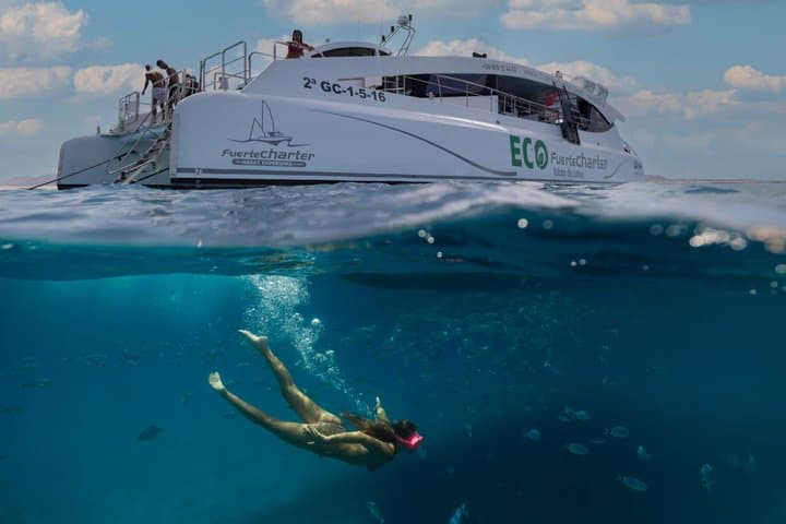 ECO Ferry Mini Cruise to Isla de Lobos