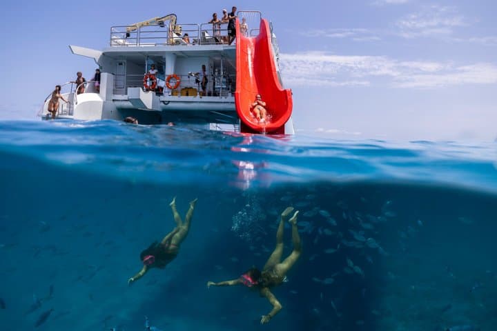 ECO Ferry Mini Cruise to Isla de Lobos