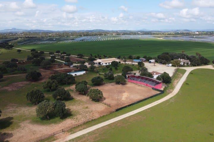 Visit Alvaro Domecq Horses and Brave Bulls in Freedom