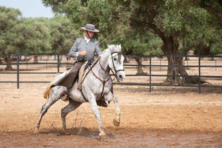 Visit Alvaro Domecq Horses and Brave Bulls in Freedom