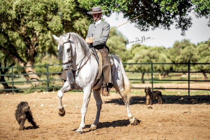 Visit Alvaro Domecq Horses and Brave Bulls in Freedom