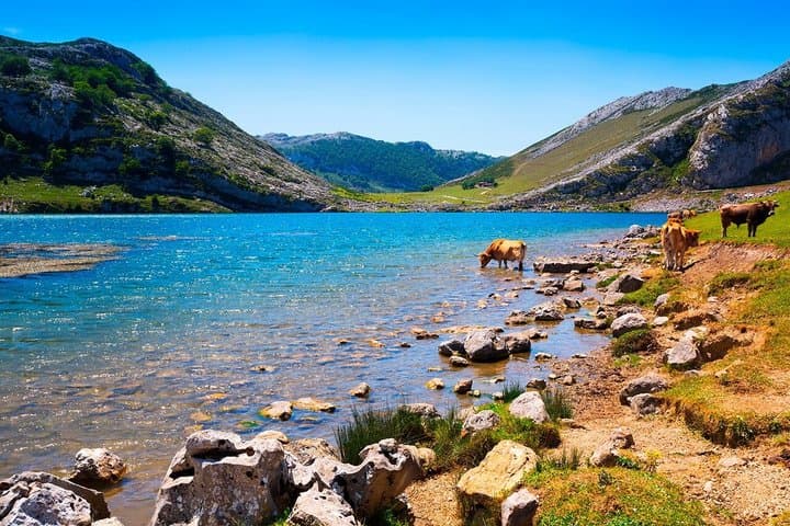 From Oviedo and Gijón Lagos de Covadonga Lastres and Tazones