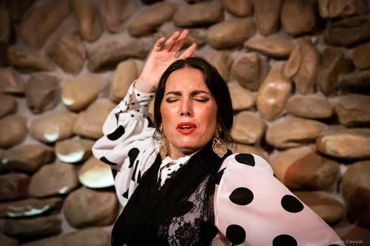 Flamenco Show at El Gallo Ronco Málaga
