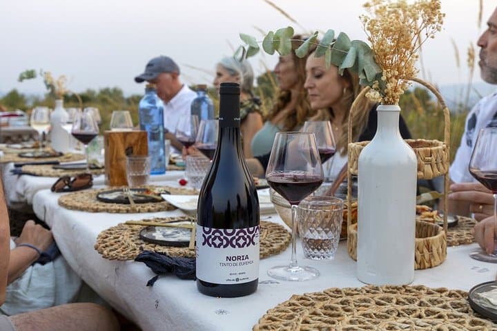 Day Trip from Valencia Viña de Eufemia Wine Experience