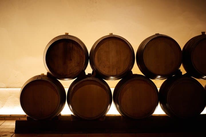 Day Trip from Valencia Viña de Eufemia Wine Experience