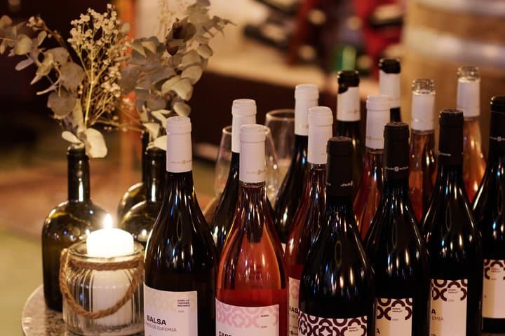 Day Trip from Valencia Viña de Eufemia Wine Experience
