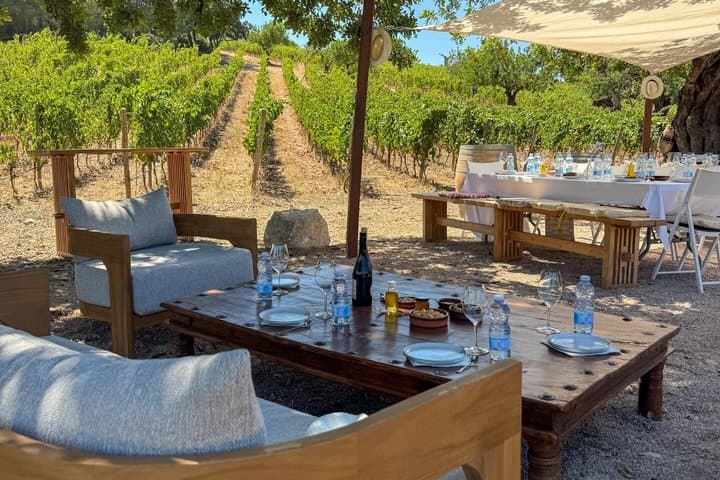 Luxury Wine Tasting Experience at Can Gelat in Mallorca