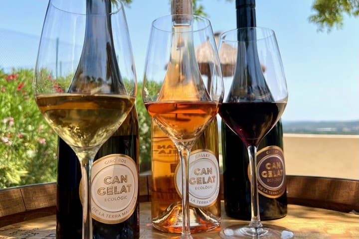 Luxury Wine Tasting Experience at Can Gelat in Mallorca