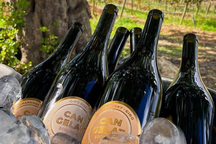 Luxury Wine Tasting Experience at Can Gelat in Mallorca