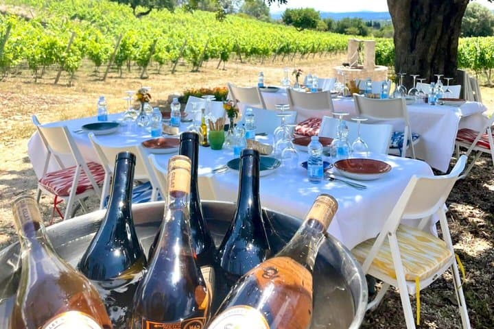 Luxury Wine Tasting Experience at Can Gelat in Mallorca