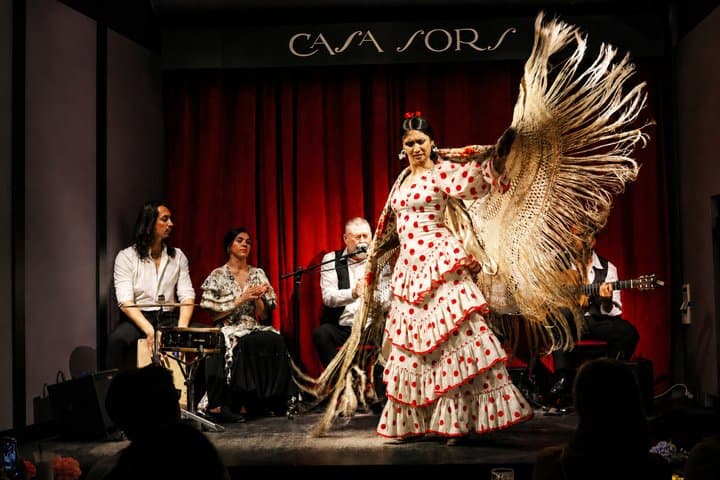 Barcelona Flamenco Night: Live Show & Cocktails Experience