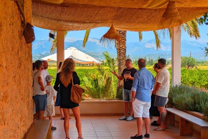 Private Wine and Local Flavors Tour from Palma de Mallorca