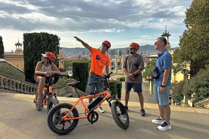 Barcelona Montjuïc E-Bike Tour: Castle, Views & Highlights