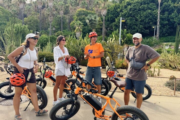 Barcelona Montjuïc E-Bike Tour: Castle, Views & Highlights