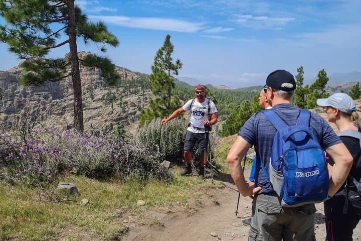 Full day Hiking Gran Canaria Peaks of Gran Canaria