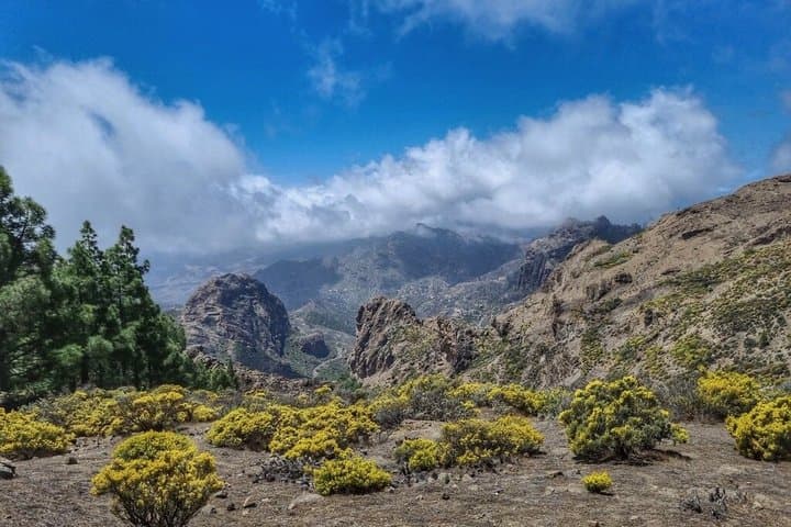 Full day Hiking Gran Canaria Peaks of Gran Canaria