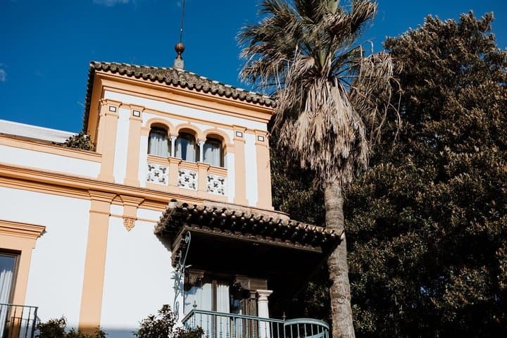 Seville: Santa Cruz neighbourhood with flamenco show (optional)