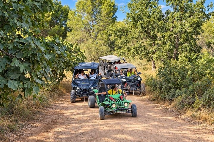 Benidorm Scenic Buggy Tours