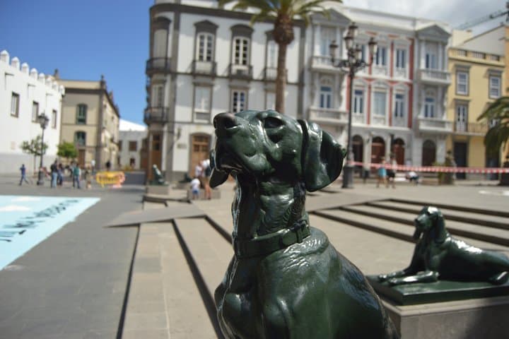 Coastal Gran Canaria Highlights: Scenic Shore Excursion from Port