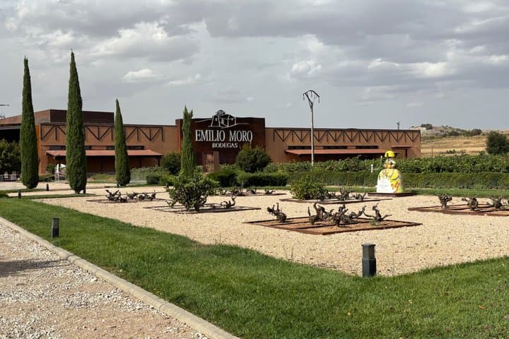 Private Tour Ribera del Duero and Emilio Moro with Official Guide