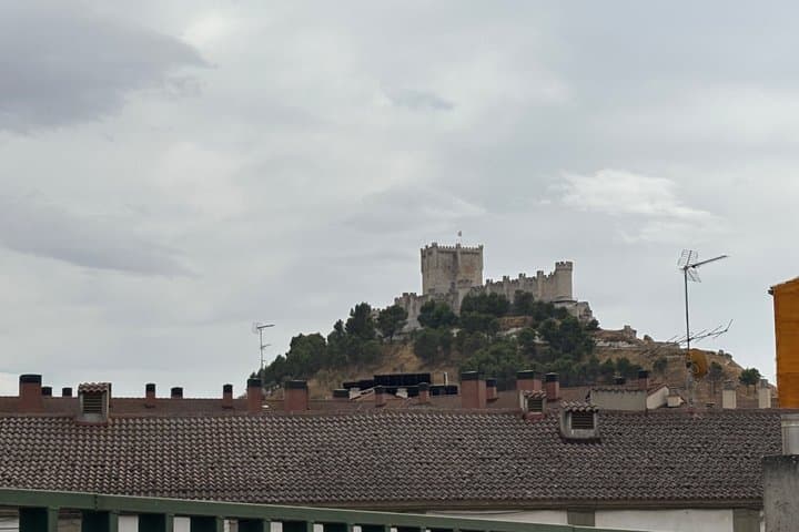 Private Tour Ribera del Duero and Emilio Moro with Official Guide