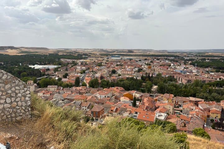 Private Tour Ribera del Duero and Emilio Moro with Official Guide