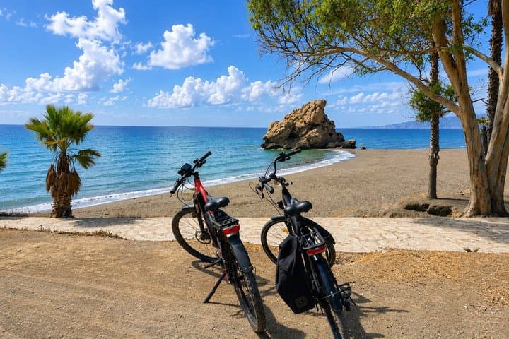 Full-Day Electric Bike Rental in Malaga