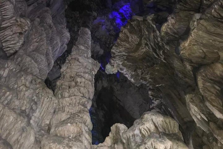 Gibraltar Day Trip from Costa del Sol with Rock Tour Included