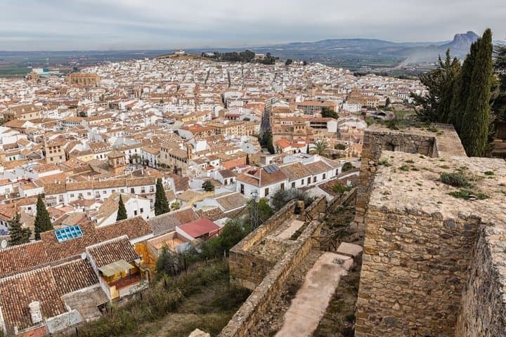 Excursion to Antequera Torcal Dolmens and Historic Center