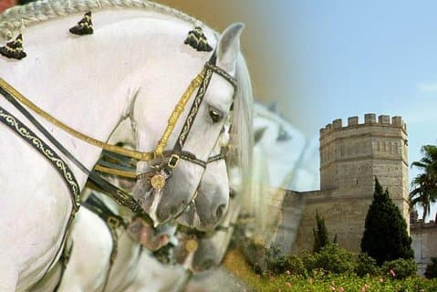 Offer Jerez City Guided Tour and Horse Show