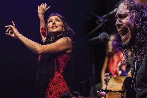Flamenco