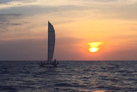 Catamaran Sunset