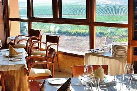 Enjoy a meal facing vineyards