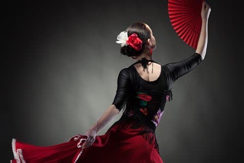 Flamenco show