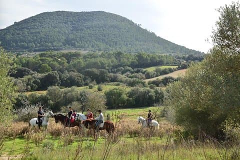 Horseback Riding in Randa, Mallorca, Spain