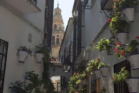 Visit Jewish quarter