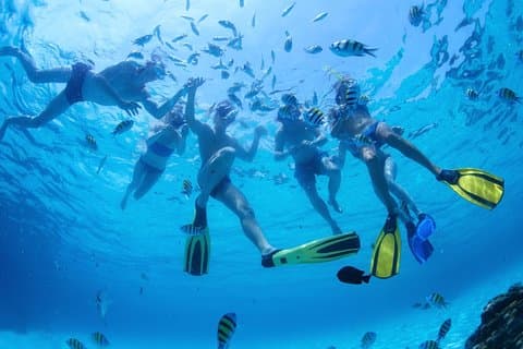 Swim & Snorkel