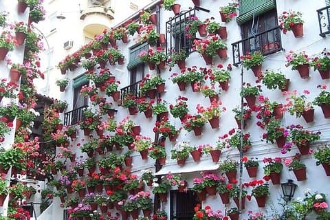 Cordoba city private tour from Seville including the great Mosque