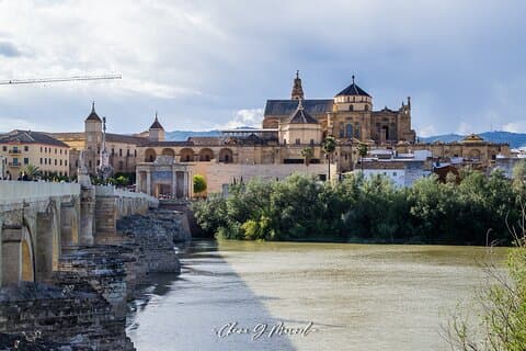 Guided visit Córdoba Monumental