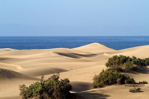 Private 5-hour Tour of Maspalomas