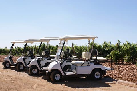 Wine tourism : wine tasting