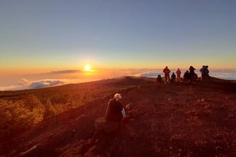 Small-Group Half-Day Tour of Teide National Park with Pickup