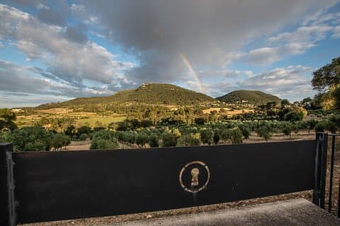 Views of the estate